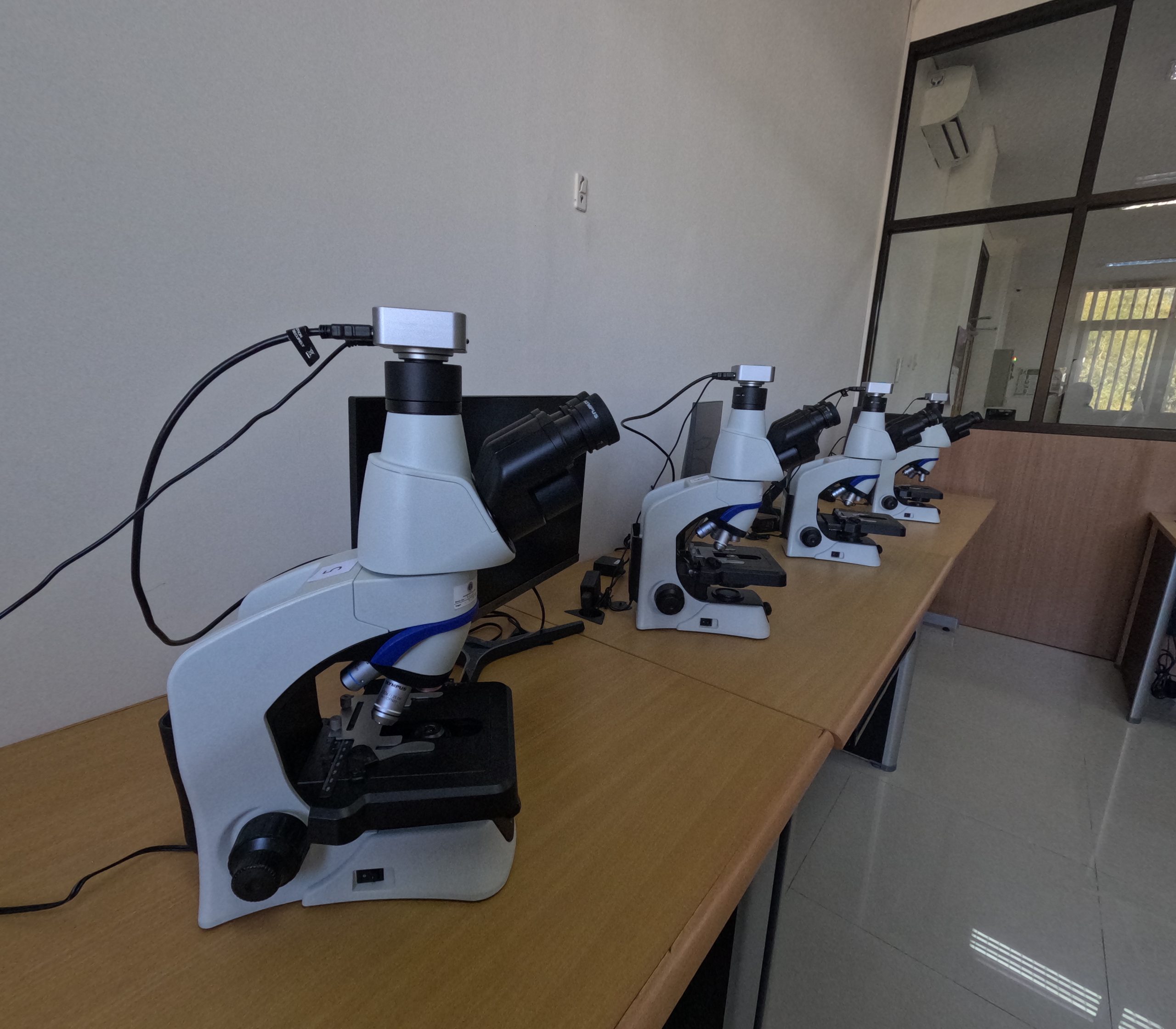 Trinocular Microscope